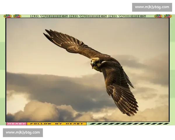 探索人类与动物的极限弹跳能力 揭秘高空跃起的奥秘与训练方法